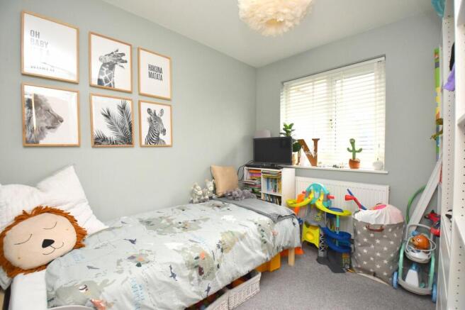 Picture 11