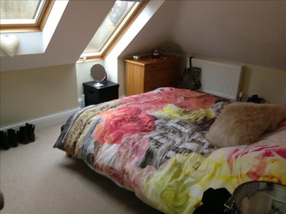 Photo 5