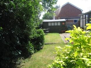 Back Garden