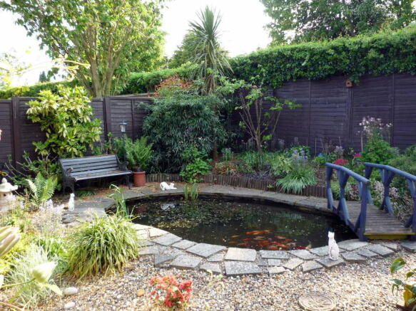 Pond
