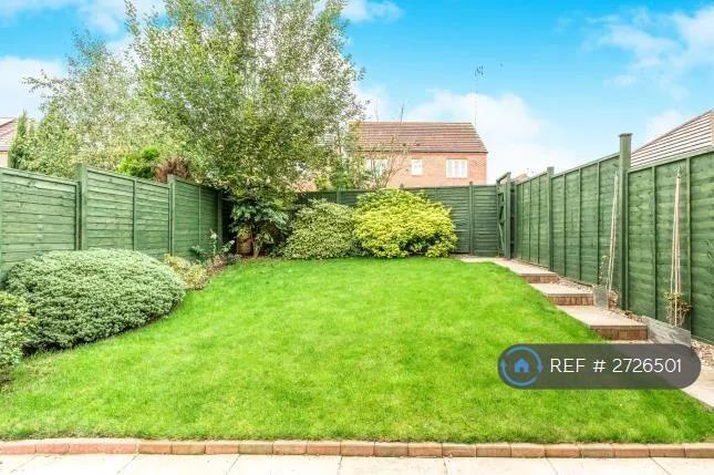 Back Garden