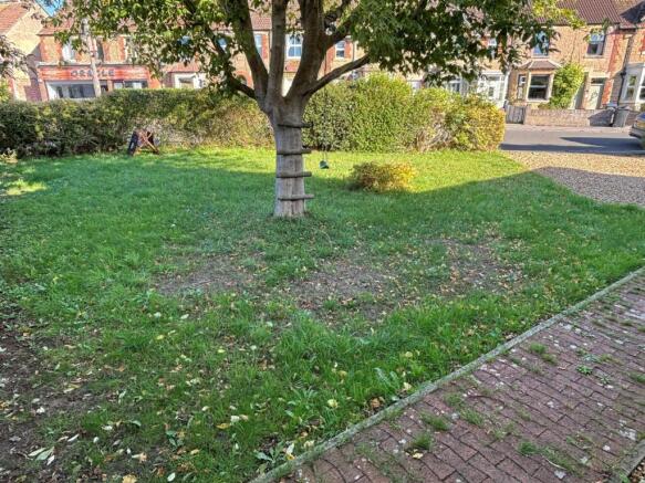 garden.jpg