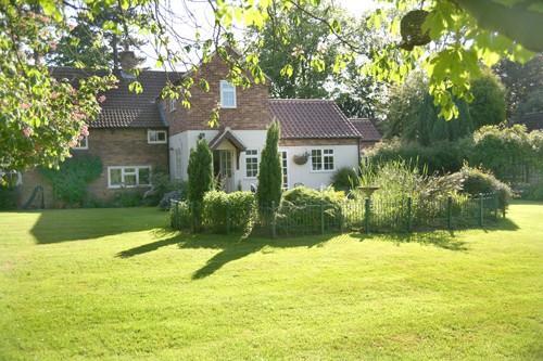 Rear Elevation