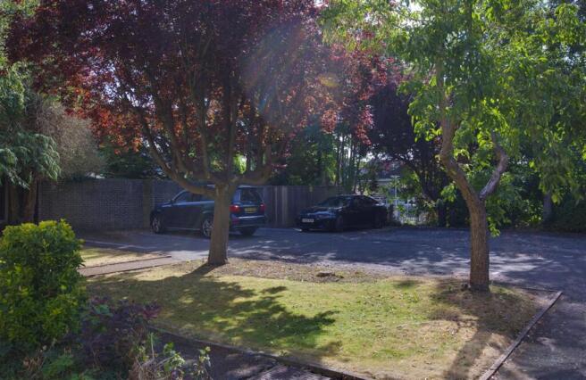 Comm Gardens /