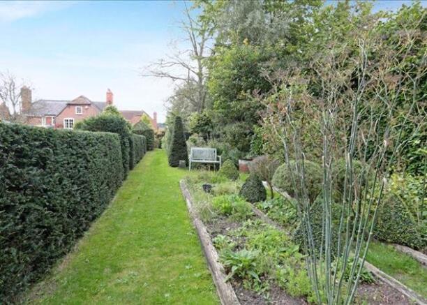 Vegetable Garden
