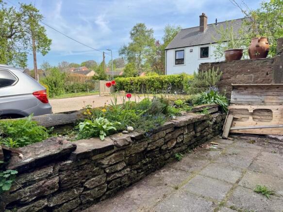 Rear Yard
