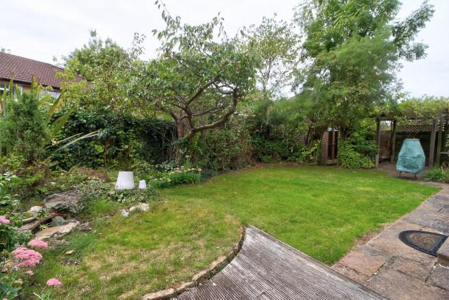 Rear garden 2
