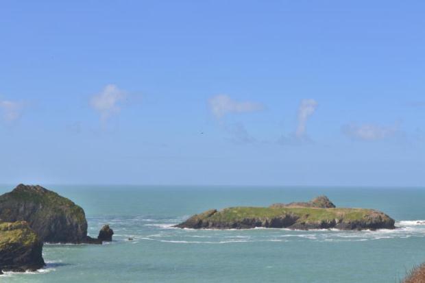 Mullion Island