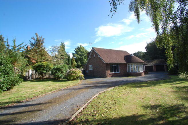Photo 13