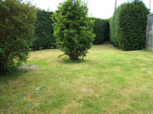 Side Garden