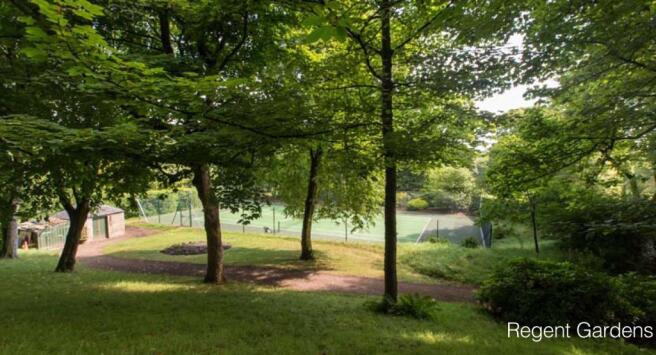 Picture No. 15