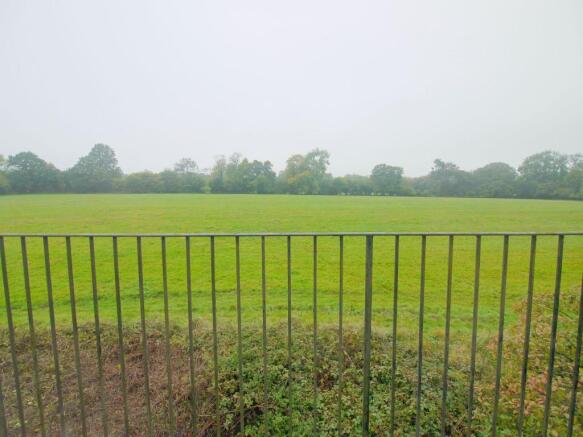 Photograph 11