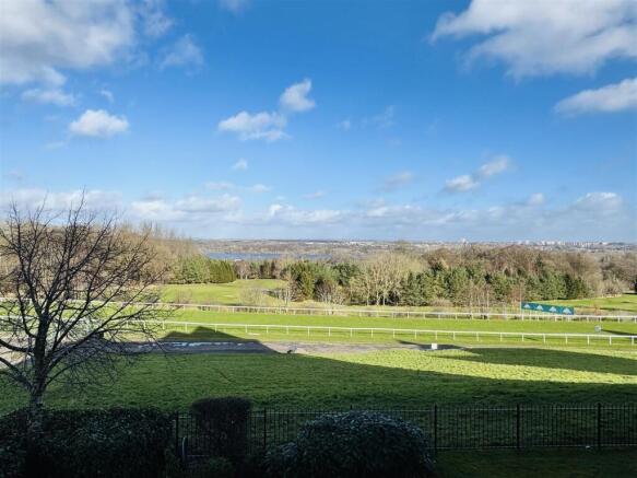 Garden Room View