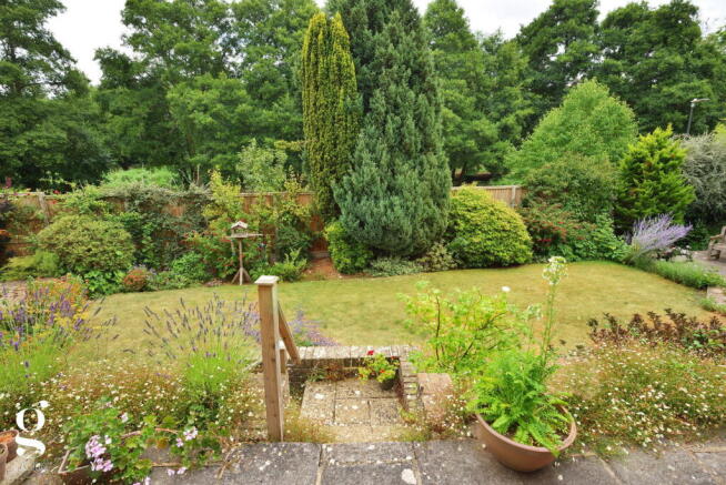 Photo 38