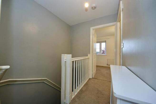 IMAGE 7