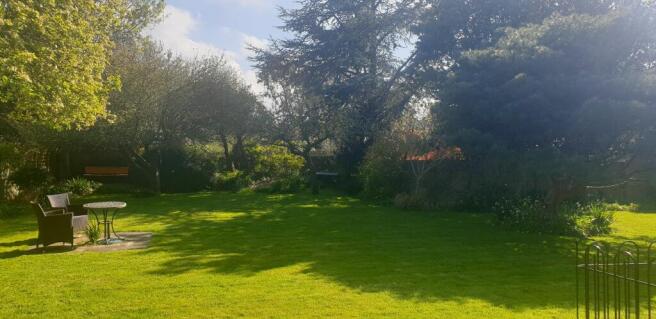 Garden (6)