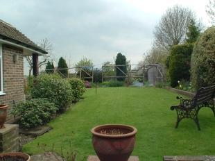 Garden 2