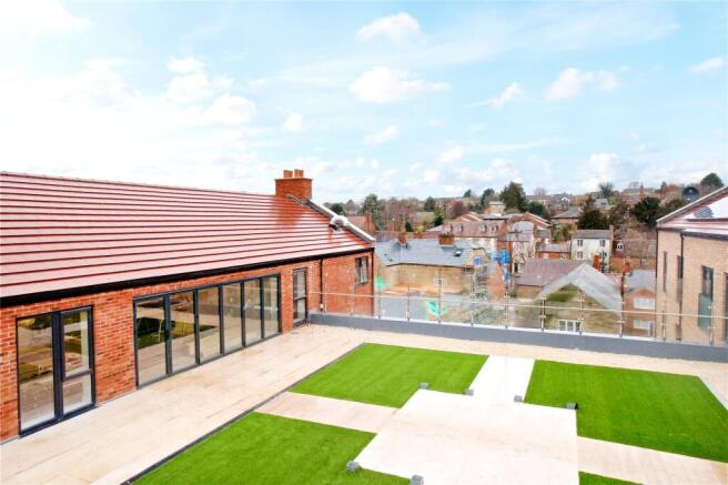 Roof Top Garden