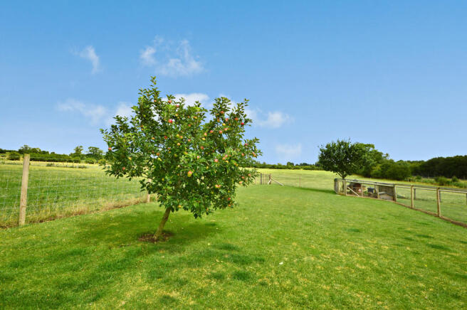 GARDEN AND FIELDS