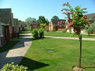 Communal garden 2
