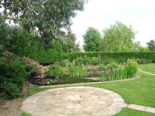 Pond