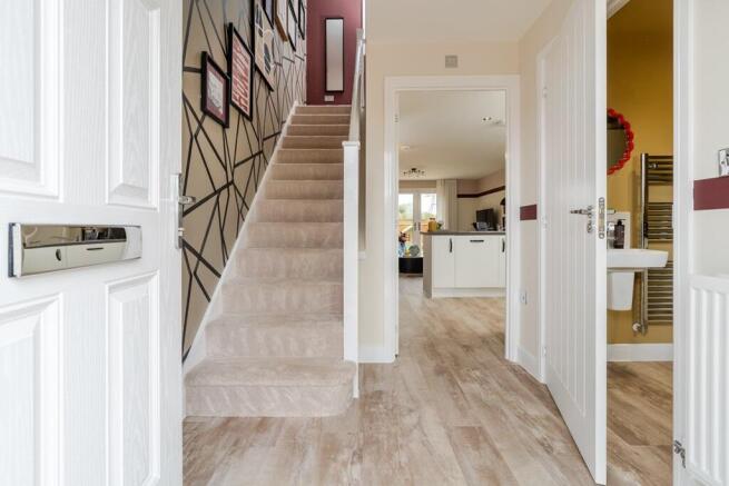 Discover the Beaford