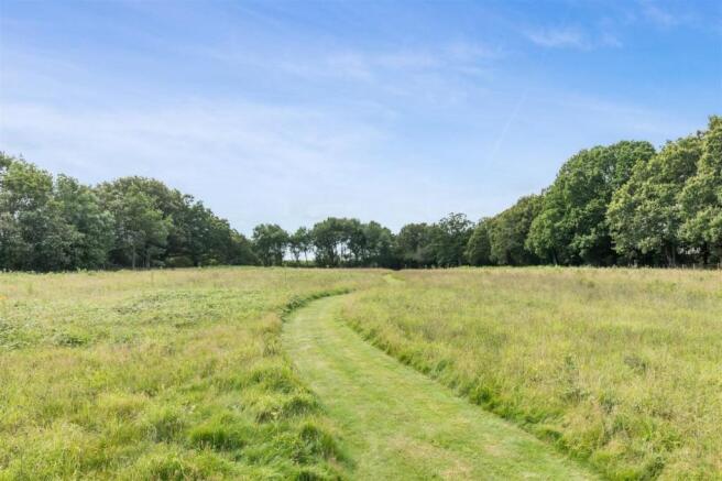 Meadow