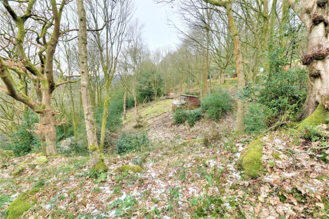 Woodland