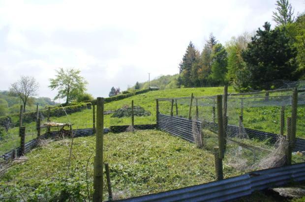 Picture No.22