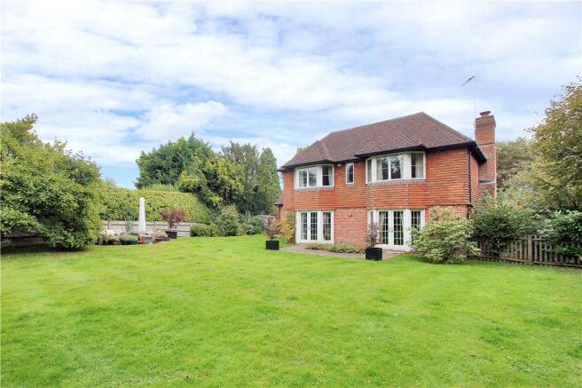 Hazel Wood Rear