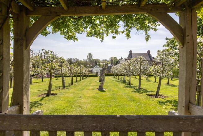 Orchard