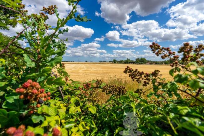 Country Views