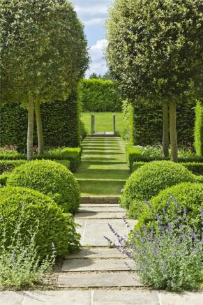 Clipped Ilex Oak