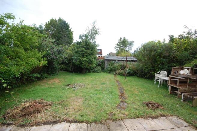 garden.jpg