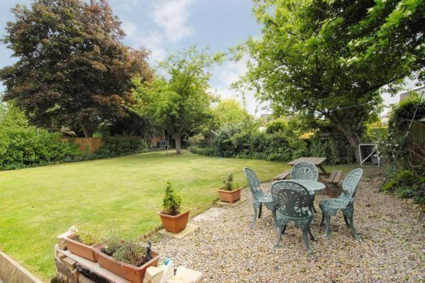 Rear Garden 2