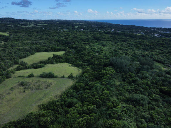 60 Acres, Holetown