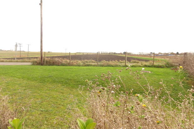 View from Driveway