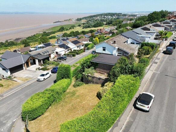 Plot View