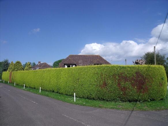 Photo 21