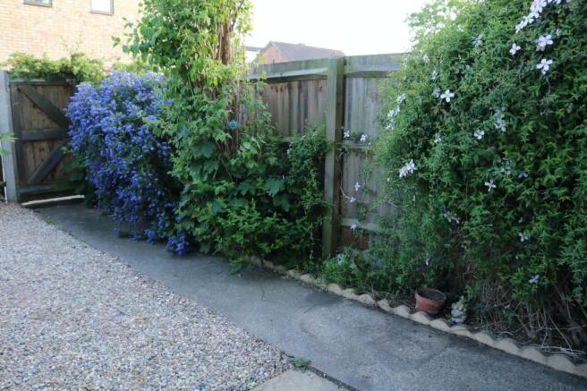 Photo 21