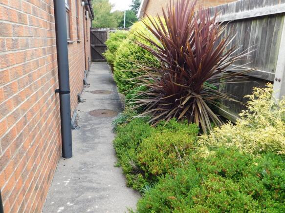 Garden 2