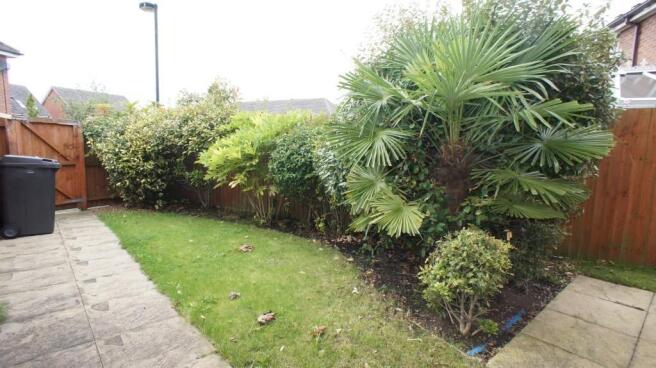 Photo 10