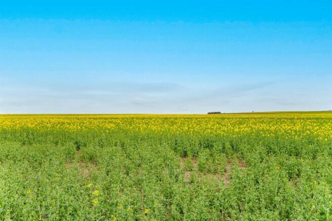 Farmland Beyond