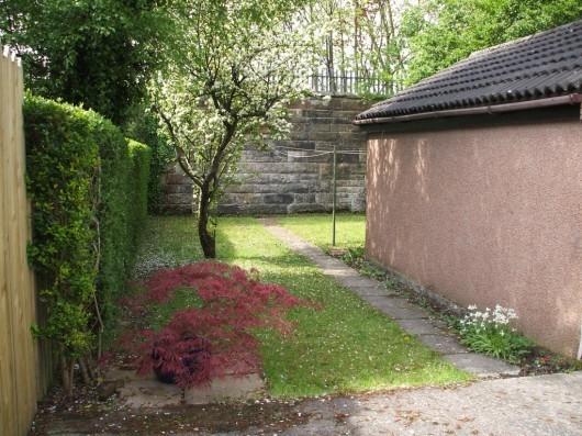 Back Garden