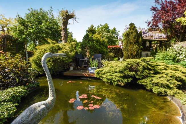 Pond and BBQ Area