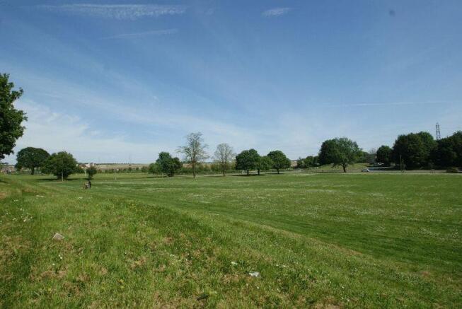 Field