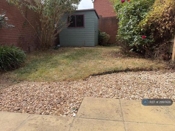 Back Garden