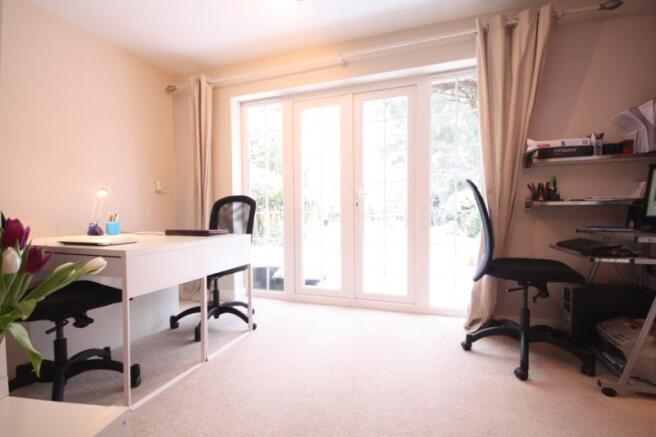 Study Area
