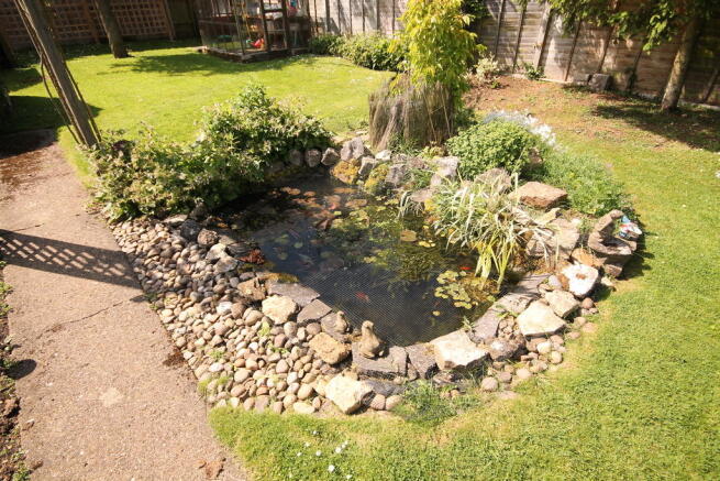 Photo 15