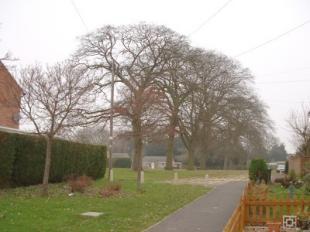 View to Front